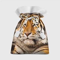 Мешок для подарков Мудрый тигр, цвет: 3D-принт