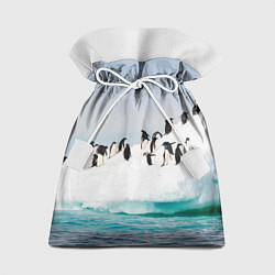 Мешок для подарков Пингвины на айсберге, цвет: 3D-принт