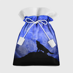 Мешок для подарков Полнолуние, цвет: 3D-принт