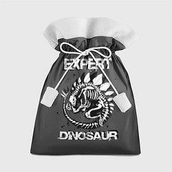 Мешок для подарков Dinosaur expert, цвет: 3D-принт