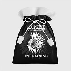 Подарочный мешок Expert paleontologist in training