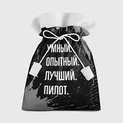 Подарочный мешок Умный опытный лучший: пилот