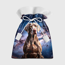 Мешок для подарков Веймаранер в космосе, цвет: 3D-принт