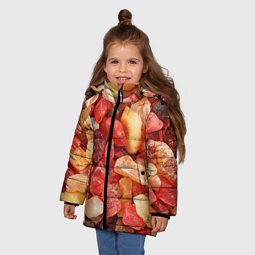Зимняя куртка для девочки Цукаты / 3D-Черный – фото 3