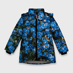 Зимняя куртка для девочки Поле синих цветов фиалки лето