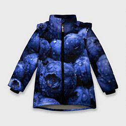 Куртка зимняя для девочки Роса на чернике, цвет: 3D-светло-серый