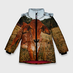 Зимняя куртка для девочки Коровка на поле
