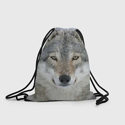 Рюкзак-мешок Милый волк, цвет: 3D-принт