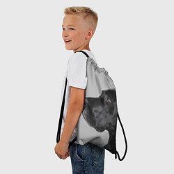 Рюкзак-мешок Черненый дог, цвет: 3D-принт — фото 2
