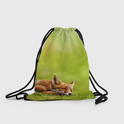 Рюкзак-мешок Лисичка спит, цвет: 3D-принт