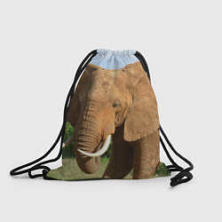 Рюкзак-мешок Рыжий слон, цвет: 3D-принт