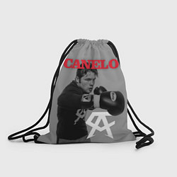 Мешок для обуви Canelo