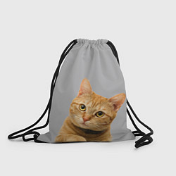Рюкзак-мешок Рыжий котик, цвет: 3D-принт