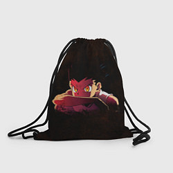 Мешок для обуви Гон Фрикс