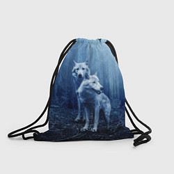 Рюкзак-мешок Волки, цвет: 3D-принт
