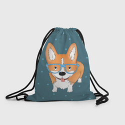 Рюкзак-мешок Корги в очках, цвет: 3D-принт