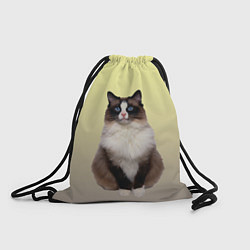 Рюкзак-мешок Персидская пушистая кошка, цвет: 3D-принт