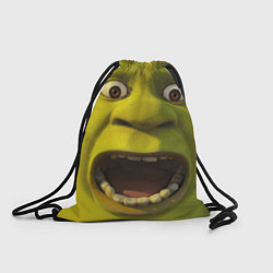 Рюкзак-мешок Shrek is Yelling, цвет: 3D-принт