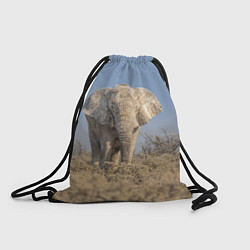 Рюкзак-мешок Африканский белый слон, цвет: 3D-принт