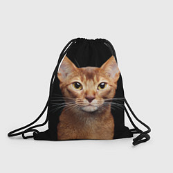 Рюкзак-мешок Молодая абиссинская кошечка, цвет: 3D-принт