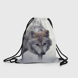 Рюкзак-мешок Волк зимой, цвет: 3D-принт