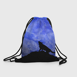 Рюкзак-мешок Полнолуние, цвет: 3D-принт