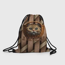 Рюкзак-мешок Кошка лукошка мем, цвет: 3D-принт