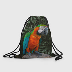 Рюкзак-мешок Попугай Макао, цвет: 3D-принт