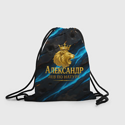 Рюкзак-мешок Александр лев по натуре, цвет: 3D-принт