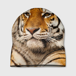 Шапка Мудрый тигр, цвет: 3D-принт