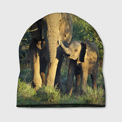 Шапка Семья слонов в природе, цвет: 3D-принт