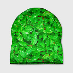 Шапка Зелёные листья - текстура, цвет: 3D-принт