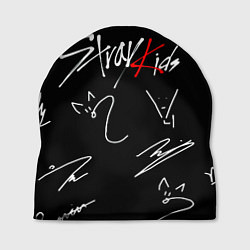 Шапка Stray kids автографы лого