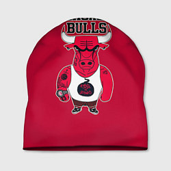 Шапка Chicago bulls