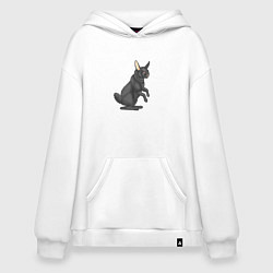 Толстовка-худи оверсайз Чёрный водяной кролик, символ 2023, цвет: белый