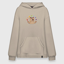 Худи оверсайз Котик душнила