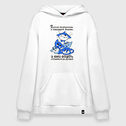 Худи оверсайз Только привыкаешь к хорошей жизни