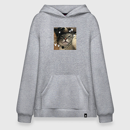 Худи оверсайз Недовольная серая кошка / Меланж – фото 1