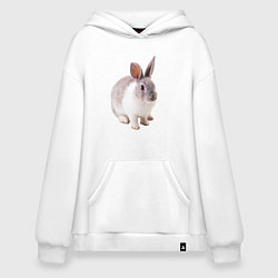 Толстовка-худи оверсайз Кролик бело-серый, цвет: белый
