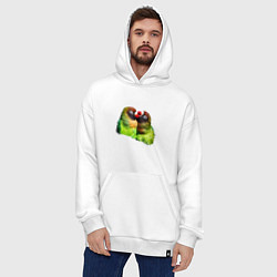 Толстовка-худи оверсайз Влюбленные попугаи, цвет: белый — фото 2