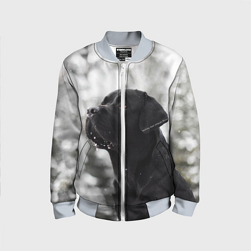 Детский бомбер Лабрадор Марк / 3D-Серый – фото 1