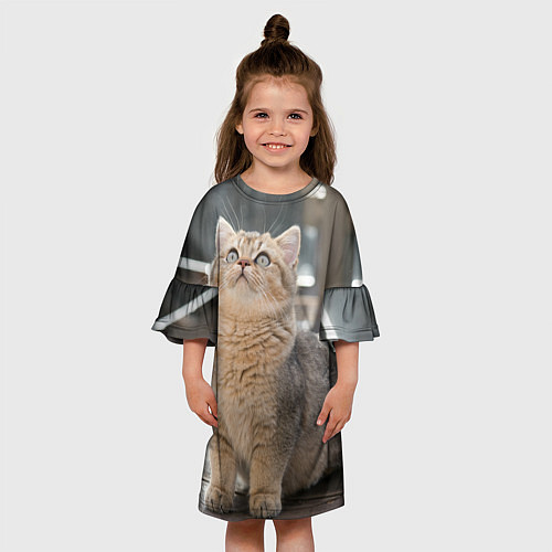 Детское платье Британская короткошёрстная кошка смотрит вверх / 3D-принт – фото 3