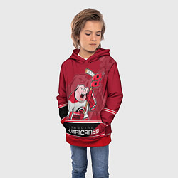 Толстовка-худи детская Carolina Hurricanes, цвет: 3D-красный — фото 2