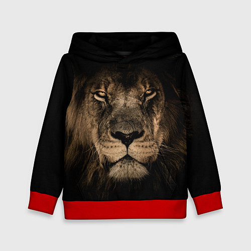 Детская толстовка Львиный взгляд / 3D-Красный – фото 1