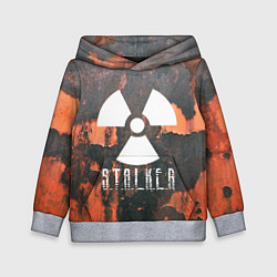 Толстовка-худи детская S.T.A.L.K.E.R: Orange Toxic, цвет: 3D-меланж