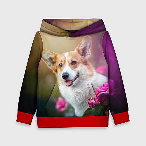 Детская толстовка Корги в розовом кусте / 3D-Красный – фото 1