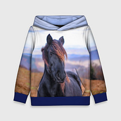 Толстовка-худи детская Черный конь, цвет: 3D-синий
