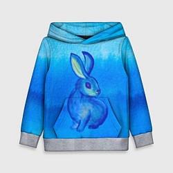 Толстовка-худи детская Водяной кролик символ 2023, цвет: 3D-меланж