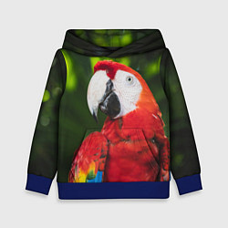 Толстовка-худи детская Красный попугай Ара, цвет: 3D-синий