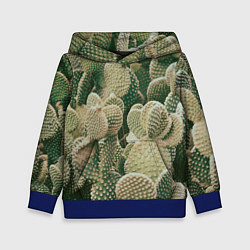 Толстовка-худи детская Поле кактусов, цвет: 3D-синий